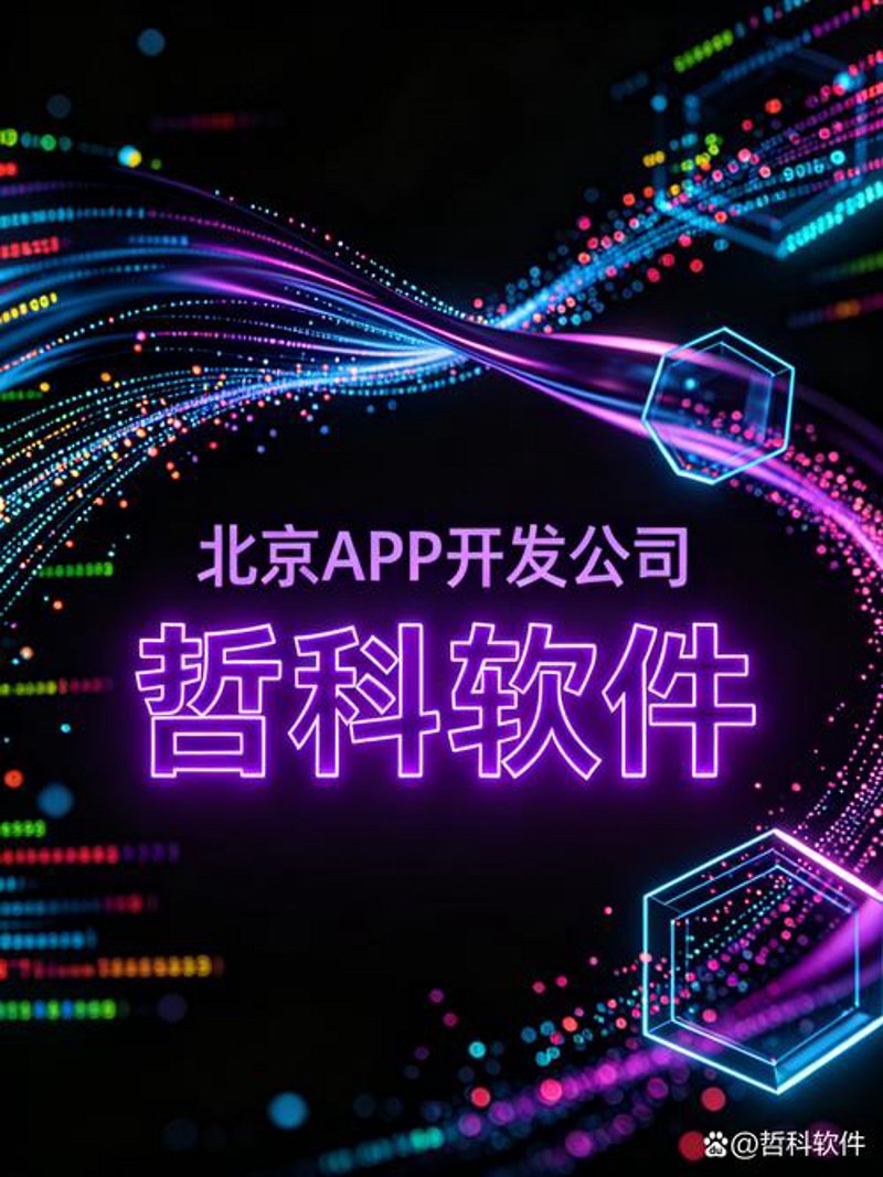 海南软件开发市场分析与未来展望